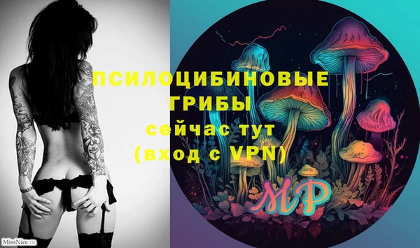 крисы Абаза