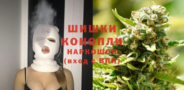 крисы Абаза