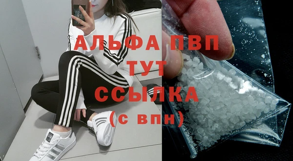 крисы Абаза