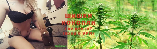 сатива Абдулино