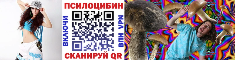 даркнет состав  Шлиссельбург  Псилоцибиновые грибы GOLDEN TEACHER  купить наркоту 